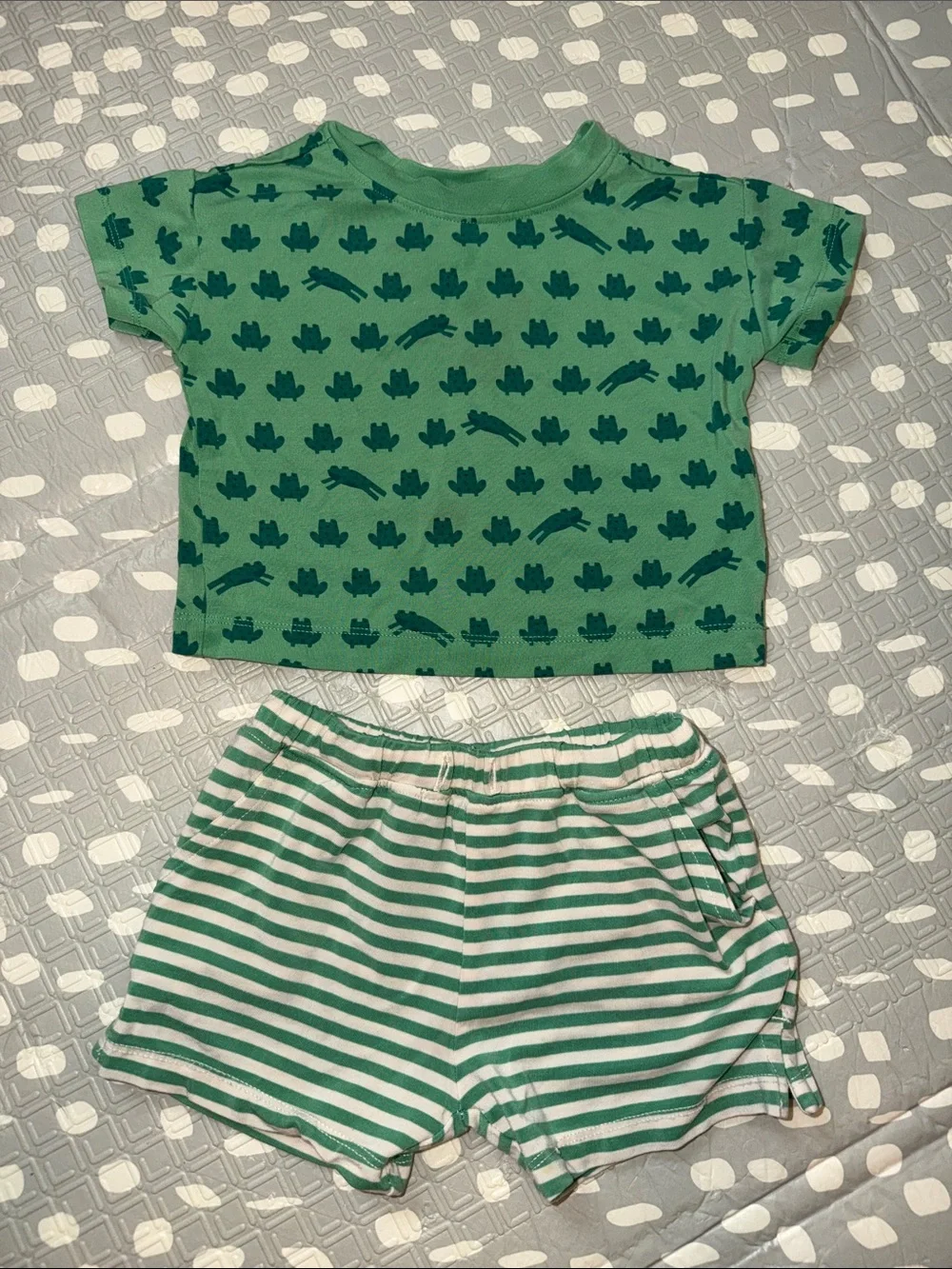 Hanna Andersson Green Frog & Stripe Shorts Set